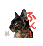 わかばとふたば（個別スタンプ：11）