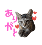 わかばとふたば（個別スタンプ：16）