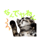 わかばとふたば（個別スタンプ：18）