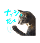 わかばとふたば（個別スタンプ：20）