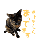 わかばとふたば（個別スタンプ：21）