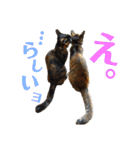 わかばとふたば（個別スタンプ：27）