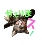 わかばとふたば（個別スタンプ：28）