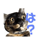 わかばとふたば（個別スタンプ：30）