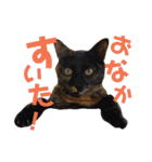 わかばとふたば（個別スタンプ：32）