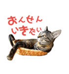 わかばとふたば（個別スタンプ：33）