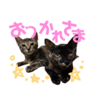 わかばとふたば（個別スタンプ：38）
