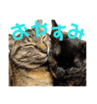 わかばとふたば（個別スタンプ：40）