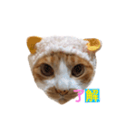 茶トラ猫のクリームおじさん（個別スタンプ：3）