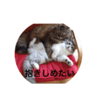 チルっとサイベリアン（個別スタンプ：32）