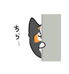 とける犬〜兄と愉快な仲間たち〜（個別スタンプ：6）