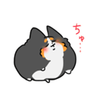 とける犬〜兄と愉快な仲間たち〜（個別スタンプ：7）