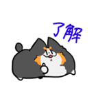 とける犬〜兄と愉快な仲間たち〜（個別スタンプ：18）