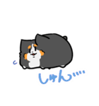とける犬〜兄と愉快な仲間たち〜（個別スタンプ：20）