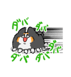 とける犬〜兄と愉快な仲間たち〜（個別スタンプ：33）