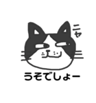 ねこたねこえさんのハチワレさんバージョン（個別スタンプ：2）