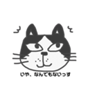 ねこたねこえさんのハチワレさんバージョン（個別スタンプ：4）