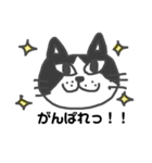 ねこたねこえさんのハチワレさんバージョン（個別スタンプ：5）