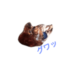 ありきたりな日常（個別スタンプ：1）