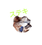 ありきたりな日常（個別スタンプ：5）