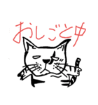 白目ネコのえぶりでぃ（個別スタンプ：3）