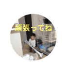 迫田さんのスタンプ（個別スタンプ：4）