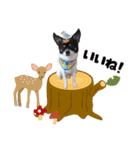 癒し猫犬たち（個別スタンプ：2）