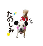 癒し猫犬たち（個別スタンプ：7）
