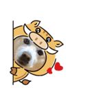 癒し猫犬たち（個別スタンプ：14）