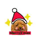 ハナクロXmasバージョン（個別スタンプ：1）