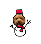 ハナクロXmasバージョン（個別スタンプ：3）