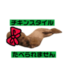 ハナクロXmasバージョン（個別スタンプ：7）