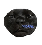 切り抜かれたくろねこ（個別スタンプ：2）
