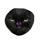 切り抜かれたくろねこ（個別スタンプ：4）