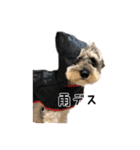 むぎまめ。（個別スタンプ：4）