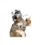 むぎまめ。（個別スタンプ：7）