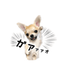 むぎまめ。（個別スタンプ：11）