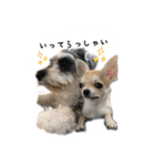 むぎまめ。（個別スタンプ：13）