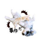 むぎまめ。（個別スタンプ：18）