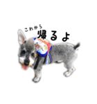 むぎまめ。（個別スタンプ：19）