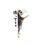 むぎまめ。（個別スタンプ：21）