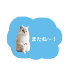 みいちゃんのねこ4.（個別スタンプ：18）