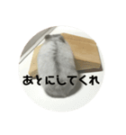 直球会話 ハムスター（個別スタンプ：4）