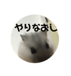直球会話 ハムスター（個別スタンプ：14）