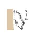 毎日のうさぎさん（個別スタンプ：23）