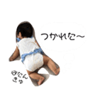 maya べびぃ〜ず②（個別スタンプ：36）