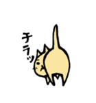 舞祭川家郎（個別スタンプ：8）