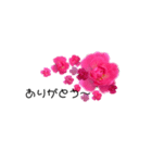 散歩道の花たち（個別スタンプ：1）