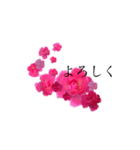 散歩道の花たち（個別スタンプ：3）