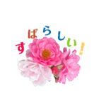 散歩道の花たち（個別スタンプ：8）